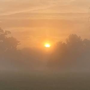 Meet your Posher, Ron